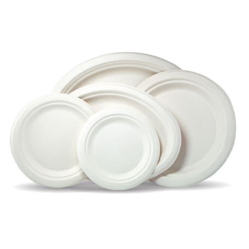 White Paper-Sugarcane Plates