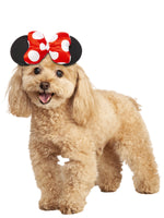 Minnie Mouse Pet Accessory