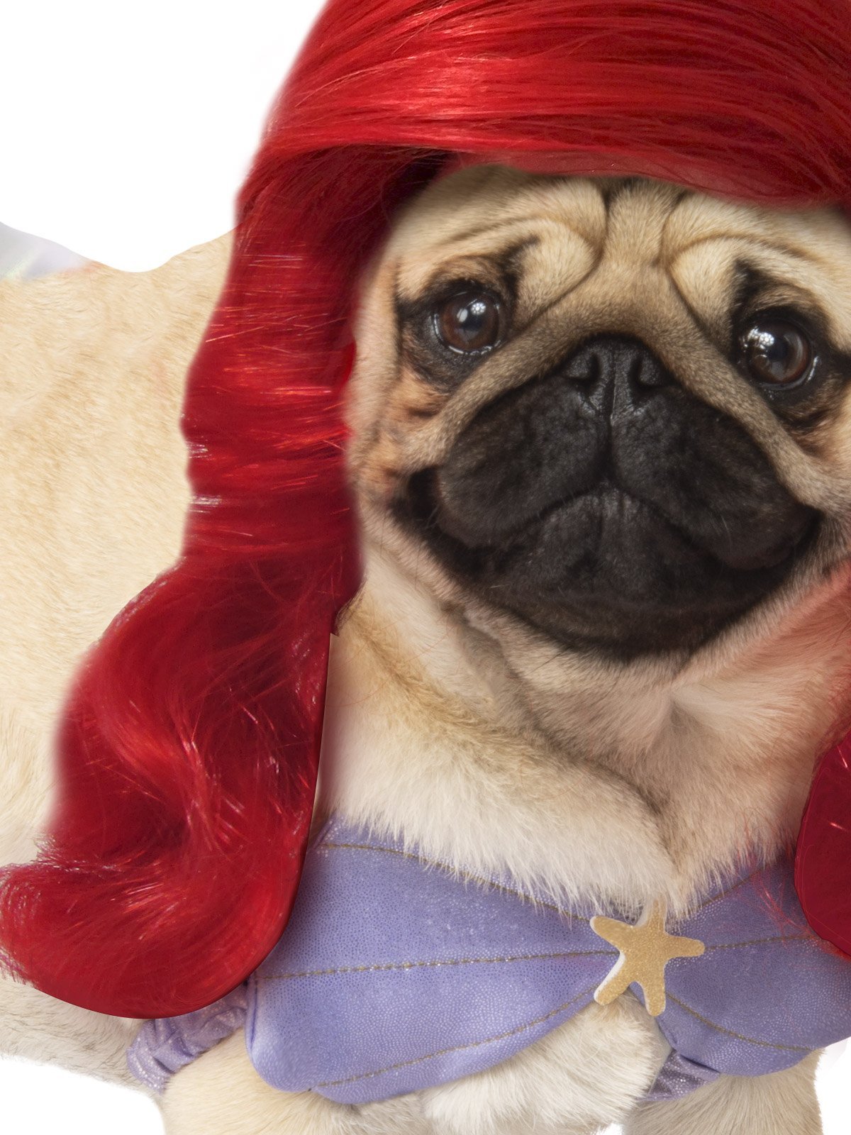 Ariel Dog Costume, Pet