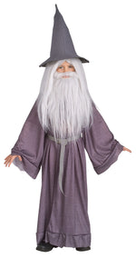 Gandalf Classic Costume, Adult