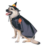 Witch Pet Costume