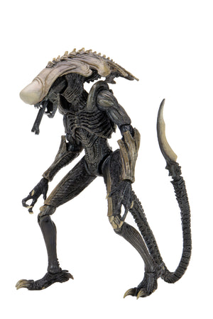 Alien Vs Predator - Chrysalis Alien 7" Scale Action Figure