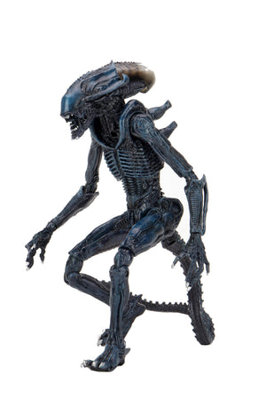 Aliens Arachnoid Alien Vs Predator 7" Scale Action Figure