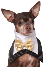 Tuxedo Bandana Costume, Pet