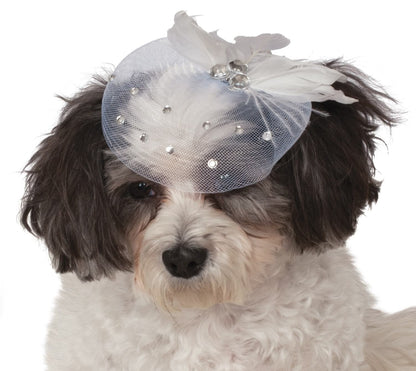 Fancy Formal Hat, Pet