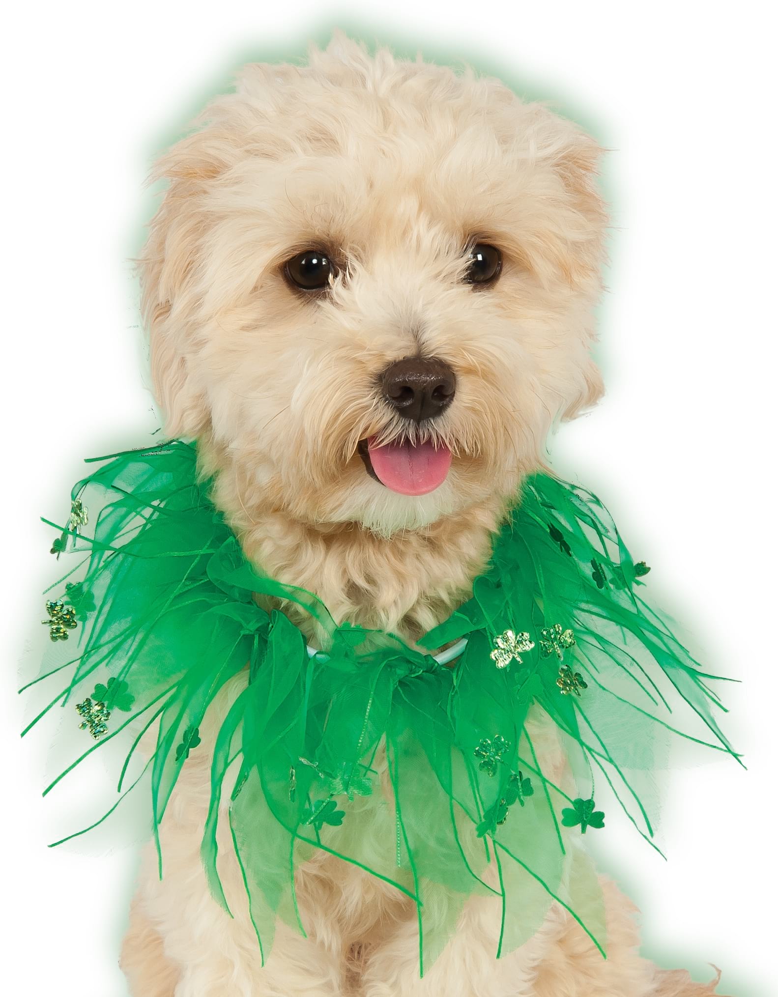 St. Pats Day Pet Collar