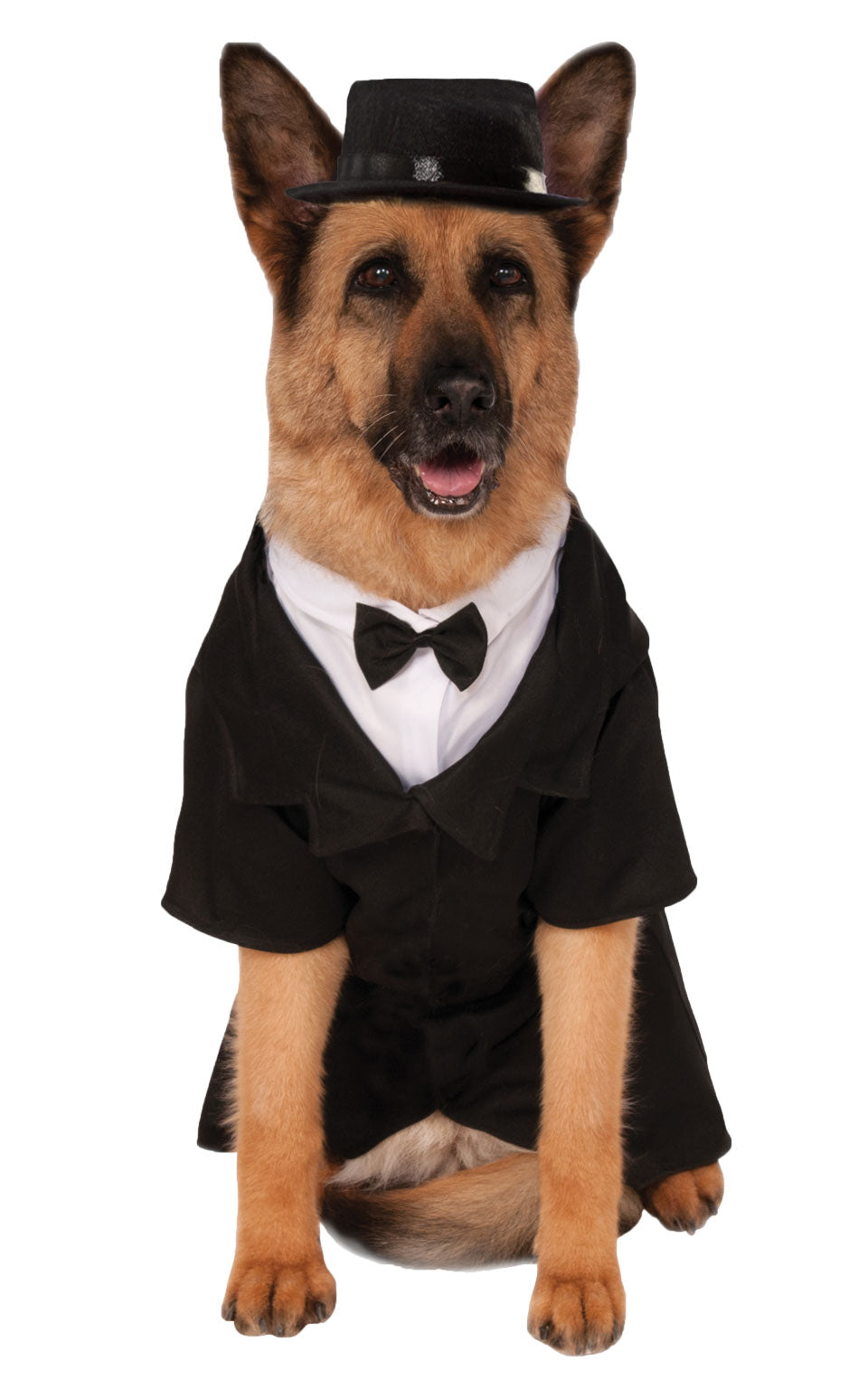 Dapper Dog Big Dog Costume, Pet