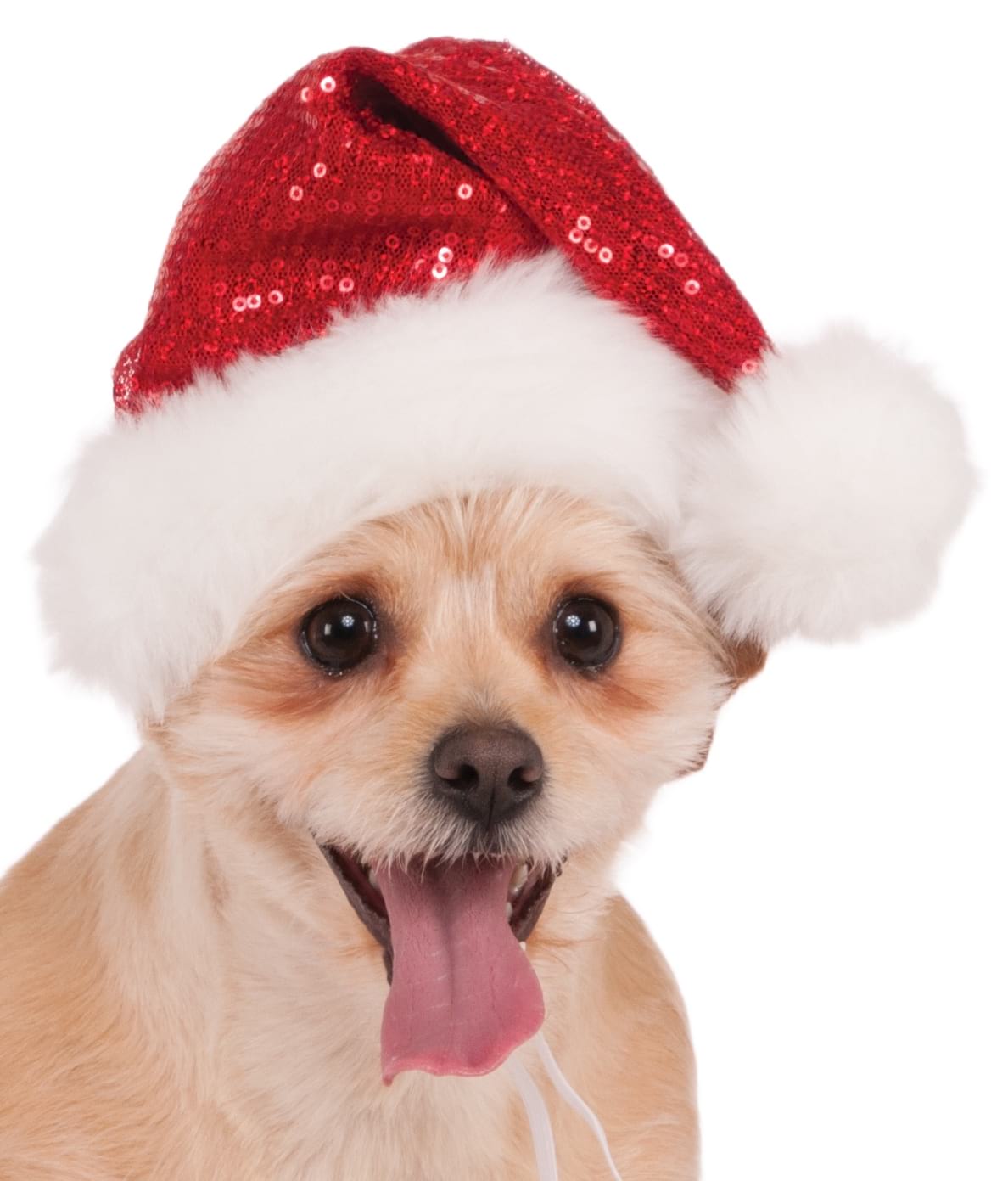 Sequin Santa Pet Hat, Red