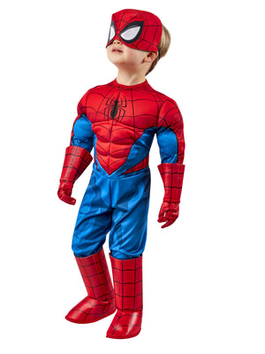 Spider-Man Deluxe Costume, Child 702913