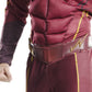 The Flash Deluxe Costume Adult 810394