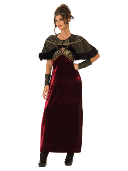 Medieval Lady Costume, Adult