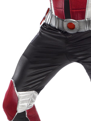 Ant-Man Collector'S Edition Costume, Adult