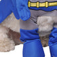 Batman Brave And Bold Pet Costume