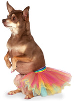 Rainbow Pet Tutu