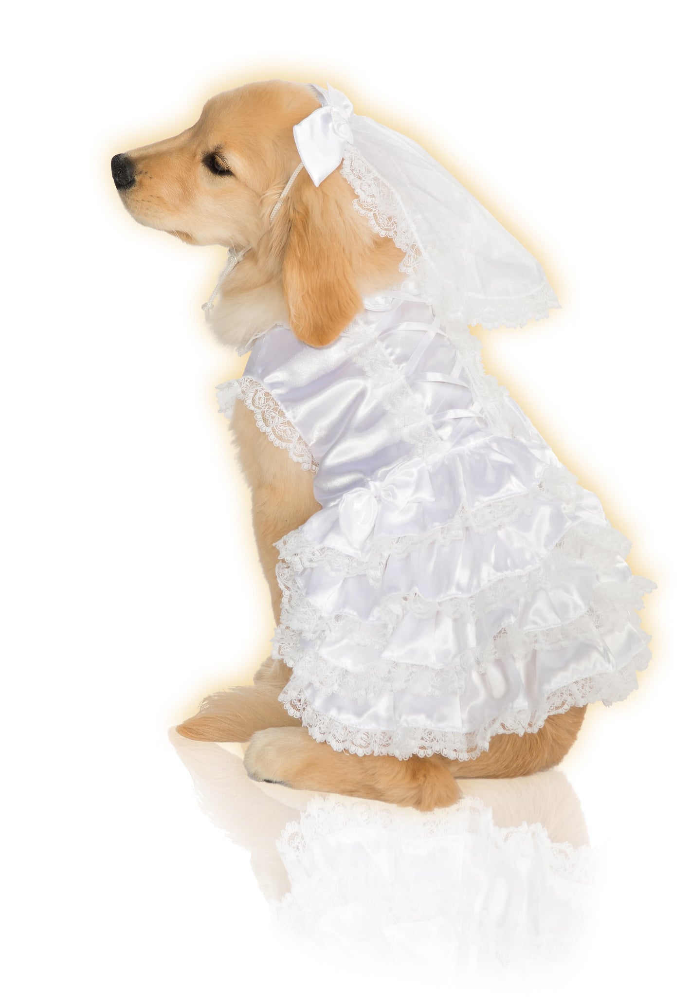 Bride Pet Costume