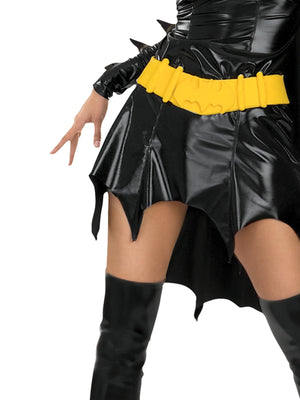 Batgirl Secret Wishes Costume, Adult