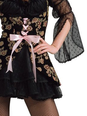 Lacey Pirate Secret Wishes Costume Adult 888894