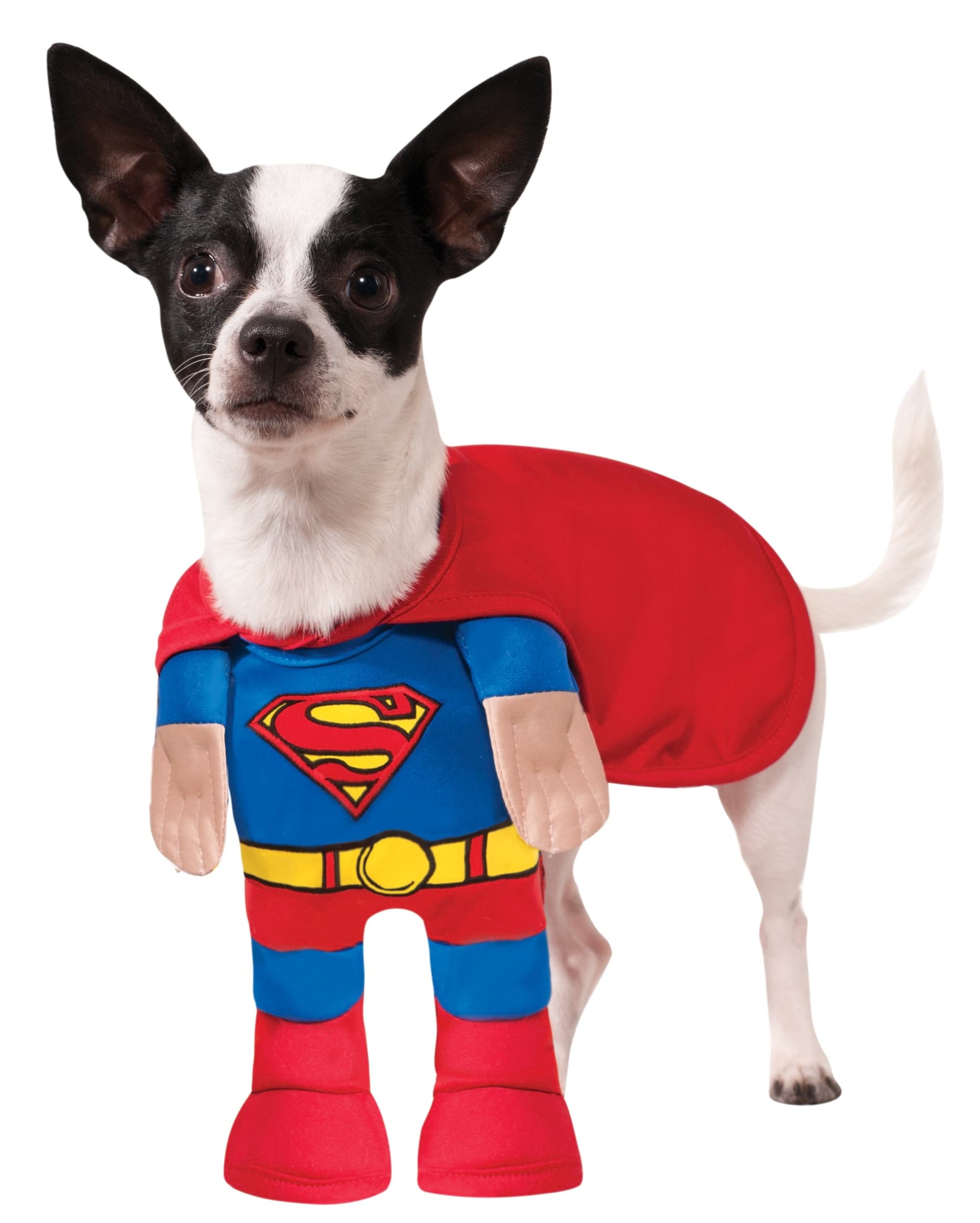 Superman Pet Costume