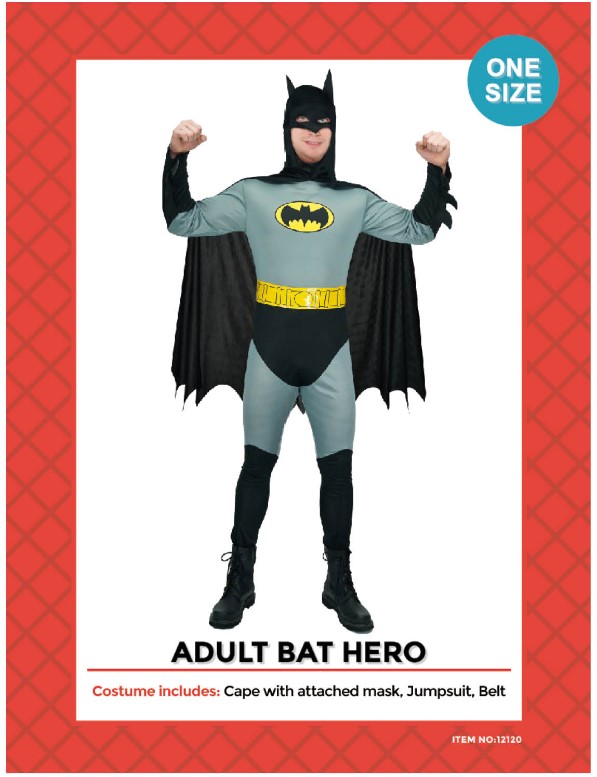 Bat Hero Adults Costume