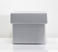 10CM Silver Gloss Gift Boxes W/Lids 10PK