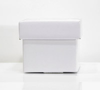 10CM Gloss White Boxes W/LIDS 10PK