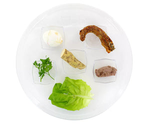 Clear Plastic Round Seder Plate