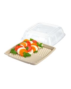 Pulp Square Platter With Clear Lid